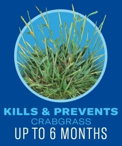 Best Sale π BioAdvanced Bio Advanced 5-IN-1 Weed & Feed - 704865H - Lawn Weed Killer π 8 Best Sale π BioAdvanced Bio Advanced 5-IN-1 Weed & Feed - 704865H - Lawn Weed Killer π -Cheap Lawn Store 03e25cda745e2e8d4a76d0c960dd8d983f257eba 90051249 2