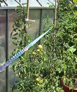 Best deal 🛒 Bird-X Irri-Tape Bird Scare Iridescent Holographic Tape, 500 Foot - Animal Repellants 🔔 11 Best deal 🛒 Bird-X Irri-Tape Bird Scare Iridescent Holographic Tape, 500 Foot - Animal Repellants 🔔 -Cheap Lawn Store 057421c03b7db1678127da48bf28907c9822b024 3 3 89