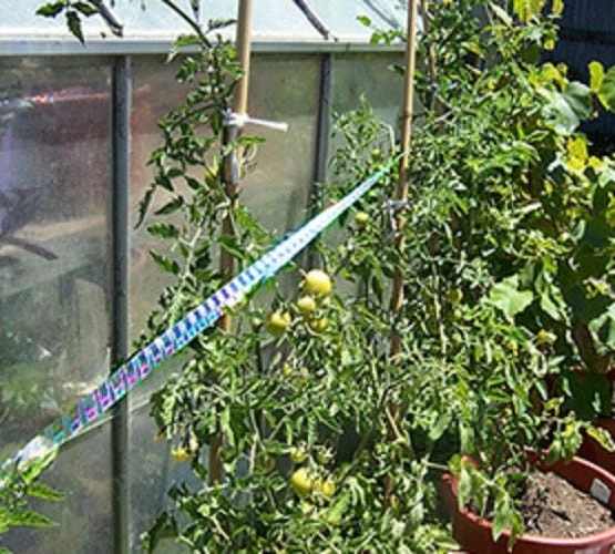 Best deal 🛒 Bird-X Irri-Tape Bird Scare Iridescent Holographic Tape, 500 Foot - Animal Repellants 🔔 5 Best deal 🛒 Bird-X Irri-Tape Bird Scare Iridescent Holographic Tape, 500 Foot - Animal Repellants 🔔 - Image 5