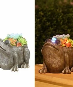 Best deal ✨ Assorted Alpine Solar Succulent Frog Garden Statue with LED Lights SLL2034SLR 👍