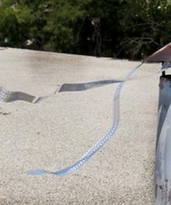 Best deal 🛒 Bird-X Irri-Tape Bird Scare Iridescent Holographic Tape, 500 Foot - Animal Repellants 🔔 10 Best deal 🛒 Bird-X Irri-Tape Bird Scare Iridescent Holographic Tape, 500 Foot - Animal Repellants 🔔 -Cheap Lawn Store 085455acc92a3e305151b8d638a35752437e24c6 6 3 3