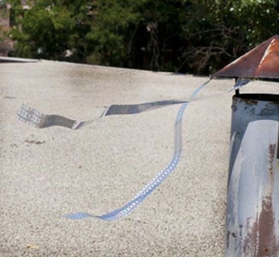 Best deal 🛒 Bird-X Irri-Tape Bird Scare Iridescent Holographic Tape, 500 Foot - Animal Repellants 🔔 4 Best deal 🛒 Bird-X Irri-Tape Bird Scare Iridescent Holographic Tape, 500 Foot - Animal Repellants 🔔 - Image 4