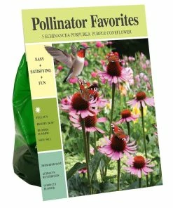 Best Sale 👍 Van Zyverden, Inc. Van Zyverden Inc. Echinacea purpurea Purple Coneflower 01986 - Garden Center 😀