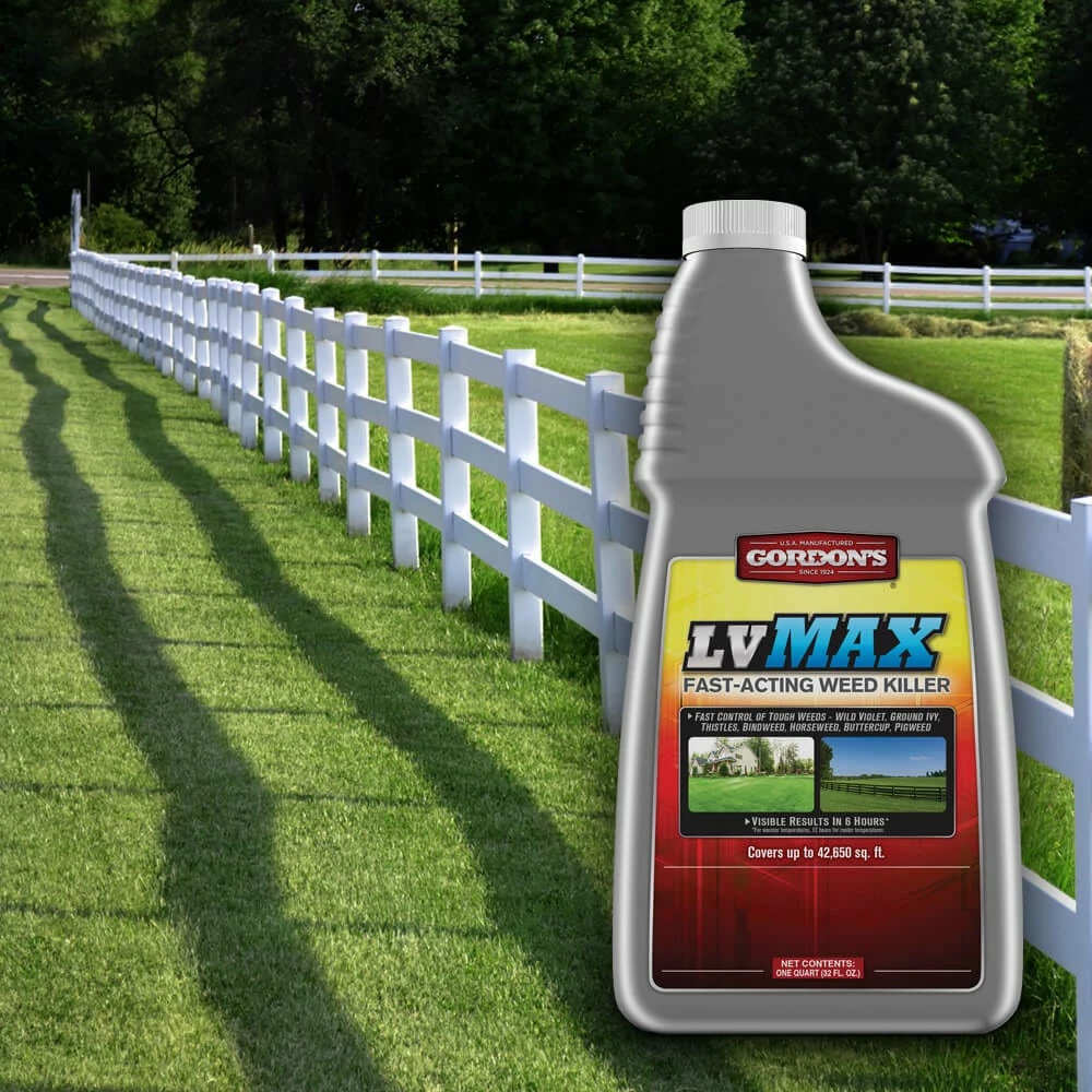 Cheapest π₯° Gordon's LV MAX Fast-Acting Weed Killer Concentrate, 1 Quart -Β 70010540 - Lawn Weed Killer π 4 Cheapest π₯° Gordon's LV MAX Fast-Acting Weed Killer Concentrate, 1 Quart -Β 70010540 - Lawn Weed Killer π - Image 4
