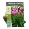Outlet 🔔 Van Zyverden, Inc. Van Zyverden Inc. Liatris Spicata 00720 - Garden Center 😀