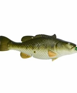 Best Sale π GEI Fish BBQ Spatula with Bottle Opener - 21862 - Tools & Accessories βοΈ 7 Best Sale π GEI Fish BBQ Spatula with Bottle Opener - 21862 - Tools & Accessories βοΈ -Cheap Lawn Store 18f9296098ecdcc96288da1385c4f7e829b1b659 2022000506 5