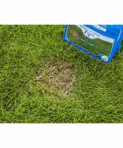 Best deal ✔️ Scotts PatchMaster Sun & Shade Lawn Repair Mix, 4.75 lbs. - 14905 - Grass Seed 🎉 -Cheap Lawn Store 1cad6028a0dad554dcd0ad59a0bade5d7dfc44a6 19990088 7