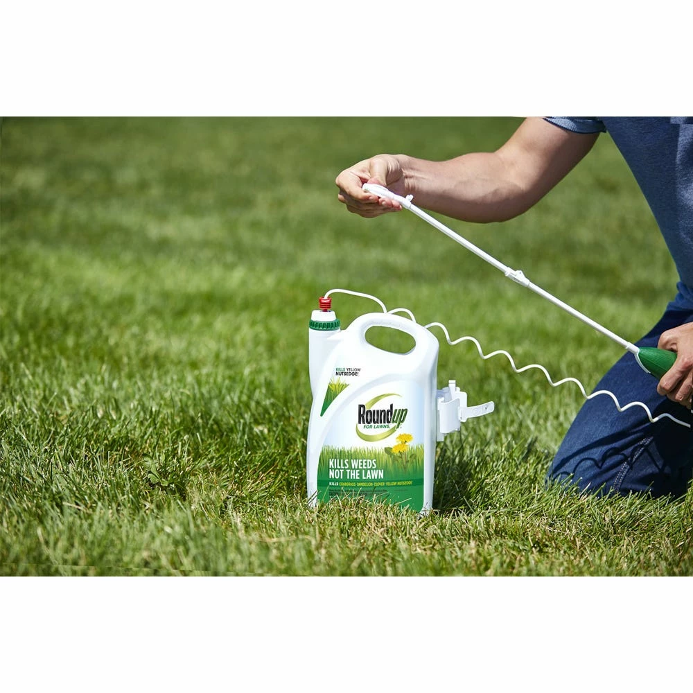 Best Sale π Roundup For Lawns 1 (Northern) with Extended Wand, 1.33 Gallon - 4385010 - Herbicides π 6 Best Sale π Roundup For Lawns 1 (Northern) with Extended Wand, 1.33 Gallon - 4385010 - Herbicides π - Image 6