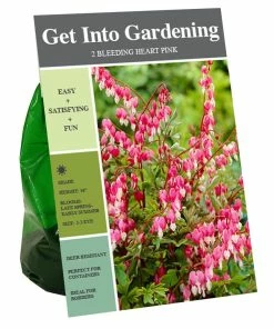 Best Sale 🔥 Van Zyverden, Inc. Van Zyverden Inc. Bleeding Heart Pink 00702 - Garden Center 🥰
