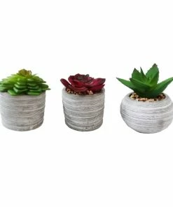 Deals ⌛ Alpine Succulent Decor with Cement Pot - Assorted WQA1216ABB - Decorative Planters ⭐
