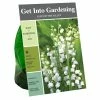 Best Pirce 🌟 Van Zyverden, Inc. Van Zyverden Inc. Lily of the Valley White 00712 - Garden Center 🤩