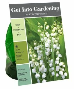 Best Pirce 🌟 Van Zyverden, Inc. Van Zyverden Inc. Lily of the Valley White 00712 - Garden Center 🤩