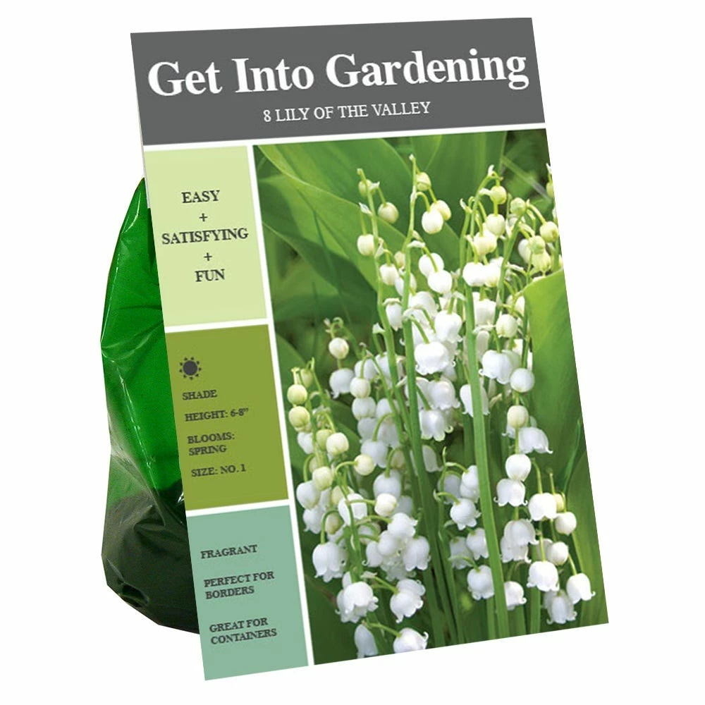 Best Pirce π Van Zyverden, Inc. Van Zyverden Inc. Lily of the Valley White 00712 - Garden Center π€© 1 Best Pirce π Van Zyverden, Inc. Van Zyverden Inc. Lily of the Valley White 00712 - Garden Center π€©