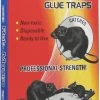 Buy 🛒 Pic Mouse & Rat Glue Trap 2 Pack - GT-2 - Baits & Traps 😉