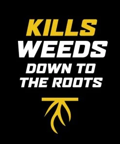 New 🛒 Ortho WeedClear Weed Killer for Lawns with Trigger Sprayer, 1 Gallon - 0204410 - Herbicides ✨ -Cheap Lawn Store 2862712ff9a24f431964e5380d8049c25caa5f92 19990562 4