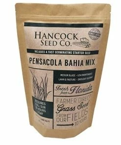 Wholesale 🧨 Hancock's Hancock Bahia Mix Pensacola, 50lb - HSC0251 - Grass Seed ✔️