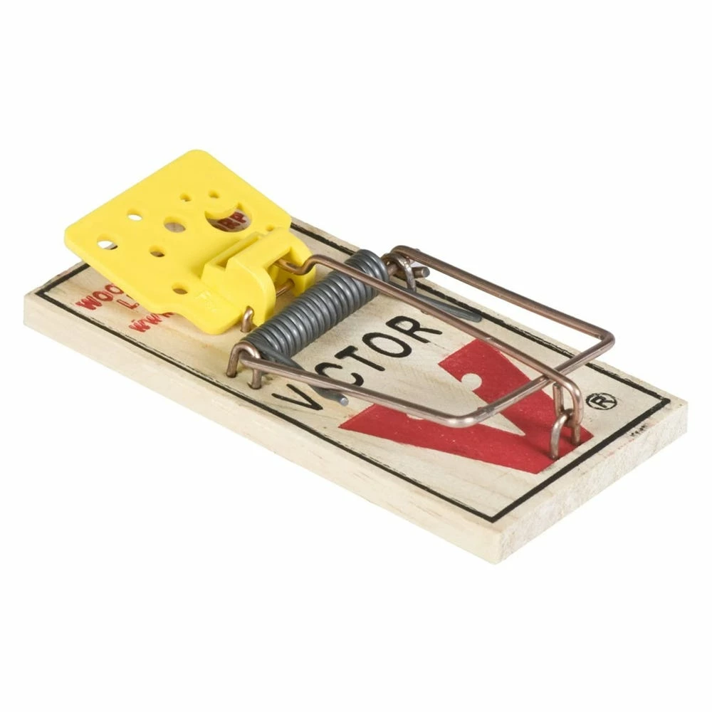Discount 😉 Victor Wooden Easy Set Mouse Trap, 4 Pack - M039 - Baits & Traps 🛒 2 Discount 😉 Victor Wooden Easy Set Mouse Trap, 4 Pack - M039 - Baits & Traps 🛒 - Image 2