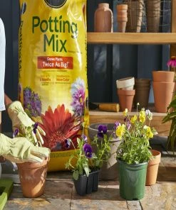 Best Pirce 🔥 Scotts Miracle-Gro Potting Mix, 2 Cu. Ft. - 75652300 - Soils 🛒 -Cheap Lawn Store 2ca2c47cf178f26c1ce704615147882d47de64c0 19990512 6