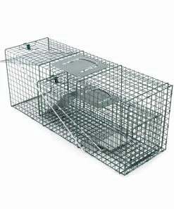 Outlet π Various Brands Catch & Release Traps for Raccoons and Rabbits, 2 Pack - 87-678-0204 - Baits & Traps β¨ 7 Outlet π Various Brands Catch & Release Traps for Raccoons and Rabbits, 2 Pack - 87-678-0204 - Baits & Traps β¨ -Cheap Lawn Store 2f026a17bb67445123da5f0f460c13f14a42783f 75500014 3