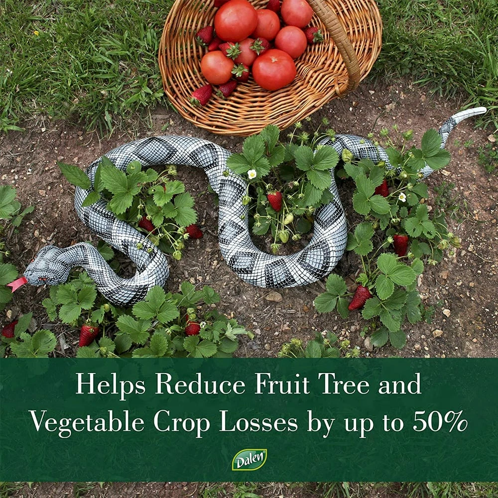 Cheapest π Dalen Natural Enemy 6' Inflatable Snake Scarecrow - NE-SR - Animal Repellants π₯ 3 Cheapest π Dalen Natural Enemy 6' Inflatable Snake Scarecrow - NE-SR - Animal Repellants π₯ - Image 3