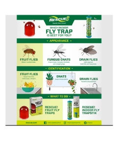 Deals π Rescue Fruit Fly Traps, 2 Pack - FFTR2-BB4 - Baits & Traps π€© 9 Deals π Rescue Fruit Fly Traps, 2 Pack - FFTR2-BB4 - Baits & Traps π€© -Cheap Lawn Store 2f44729642d5d034eb376ec0833c19a2b96ba3df 237640028 5