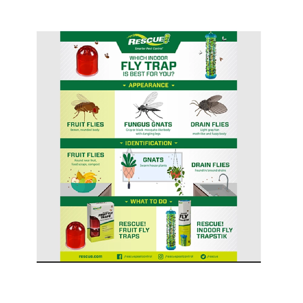 Deals π Rescue Fruit Fly Traps, 2 Pack - FFTR2-BB4 - Baits & Traps π€© 5 Deals π Rescue Fruit Fly Traps, 2 Pack - FFTR2-BB4 - Baits & Traps π€© - Image 5