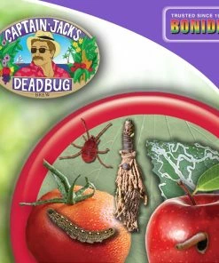 Brand new 😉 Bonide Dead Bug Brew Concentrate, 16 Ounce - 252 - Bug Candles & Zappers 🌟 -Cheap Lawn Store 34064a409daad419410f65694812d13378fbc5aa 90050002 3