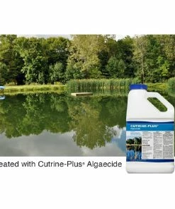 Buy 🎁 SePRO Applied Biochemists Cutrine Plus Algaecide, 1 Gallon - 1515.41 - Algaecides 😉 -Cheap Lawn Store 34a7f5887a8c5be3e367234b90db80c51f40a41b 65260092 2