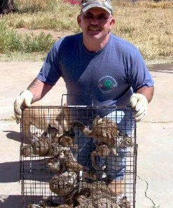 Outlet π₯ Rugged Ranch Squirrelinator Trap Only - SQRTO - Baits & Traps π 5 Outlet π₯ Rugged Ranch Squirrelinator Trap Only - SQRTO - Baits & Traps π -Cheap Lawn Store 36c3ac3b2f1f3a8bfa0dd3f1428ef6904b85385d rugged ranch squirrelinator trap only sqrto squirrel trap live 3 scaled