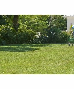Best Pirce βοΈ Scotts Turf Builder Southern Lawn Food (Florida Fertilizer) - 20211 - Grass Seed 𧨠9 Best Pirce βοΈ Scotts Turf Builder Southern Lawn Food (Florida Fertilizer) - 20211 - Grass Seed 𧨠-Cheap Lawn Store 377300de90d771983ed00ca31031b13365a42b69 19990004 5
