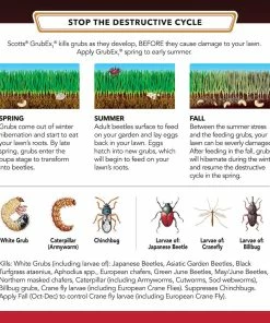 Wholesale ✨ Scotts GrubEx1 Season Long Grub Killer, 5,000 Sq. Ft. - 99605 - Insecticides 🌟 -Cheap Lawn Store 3ae0cc783ef62f8b19ac93e210d00936f5361e6b 19990208 5