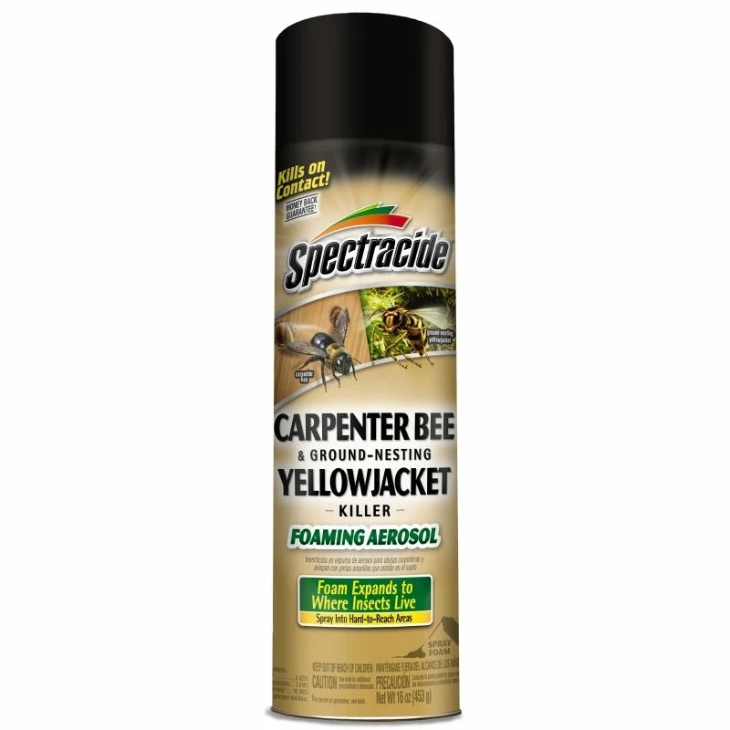 Hot Sale 🥰 Spectracide® Carpenter Bee Spray, 16 OZ - HG53371 - Insecticides ⭐ 1 Hot Sale 🥰 Spectracide® Carpenter Bee Spray, 16 OZ - HG53371 - Insecticides ⭐