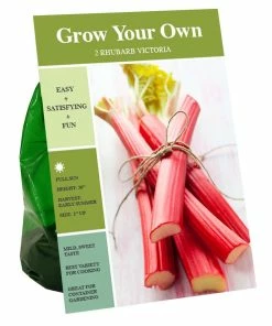 Top 10 💯 Van Zyverden, Inc. Van Zyverden Inc. Rhubarb Victoria 00744 - Vegetables 🛒