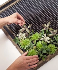 Brand new 👍 Garden Craft 24" x 50' Galvanized Hardware Cloth with 1/2" Openings - 132450 - Fence and Wire 🎉 -Cheap Lawn Store 54642b1c02a16875c17c6f6aeb5ce460081c97ae 132450 4