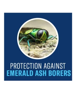 Hot Sale ⌛ Bayer BioAdvanced 12 Month Tree & Shrub Protect & Feed II Concentrate, 1gal - 701615A - Fertilizers & Plant Food ⭐ -Cheap Lawn Store 59ab0ca28e285566941ee53163616f85a1536d59 4100951 2