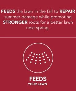 Coupon 🧨 Scotts Turf Builder Winterguard Fall Lawn Food, 5,000 sq. ft. - 38605D - Fertilizers & Plant Food 👏 -Cheap Lawn Store 62228d1786f64dac61a7fae26bfd2da31712fec3 19990062 4