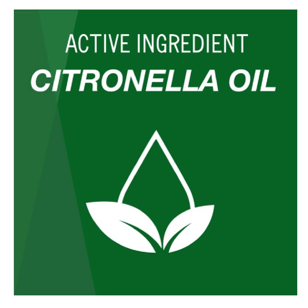 Outlet 𧨠Coleman Citronella Smores' Tin - 7713 - Bug Candles & Zappers π 4 Outlet 𧨠Coleman Citronella Smores' Tin - 7713 - Bug Candles & Zappers π - Image 4