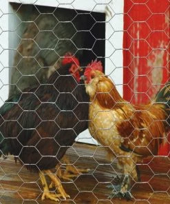 Best Sale 𧨠Garden Craft 72" x 150' Chicken Wire with 1" Openings - 167215 - Fence and Wire π 8 Best Sale 𧨠Garden Craft 72" x 150' Chicken Wire with 1" Openings - 167215 - Fence and Wire π -Cheap Lawn Store 7508c70060b7f33f58ef7051a9997195d673afe6 167215 4