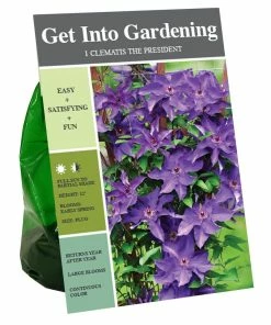 Cheap 🔥 Van Zyverden, Inc. Van Zyverden Inc. Clematis President 01725 - Garden Center 🥰