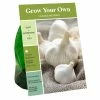 Best deal 🎁 Van Zyverden, Inc. Van Zyverden Inc. Garlic Regular 00945 - Vegetables ⌛
