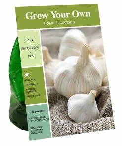 Best deal 🎁 Van Zyverden, Inc. Van Zyverden Inc. Garlic Regular 00945 - Vegetables ⌛