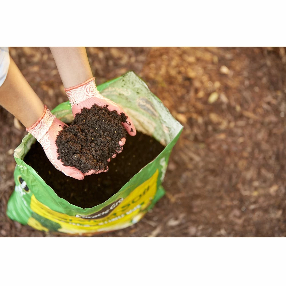 Best reviews of π― Miracle-Gro All-Purpose In-Ground Use Garden Soil, 1 cu. ft. - 70551430 - Fertilizers & Plant Food π 6 Best reviews of π― Miracle-Gro All-Purpose In-Ground Use Garden Soil, 1 cu. ft. - 70551430 - Fertilizers & Plant Food π - Image 6