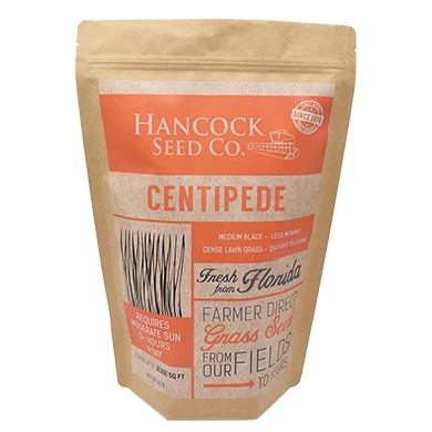Outlet β Hancock's Hancock Centipede Grass Seed, 2 lb. Bag - HSC0046 - Seeds & Bulbs π₯ 1 Outlet β Hancock's Hancock Centipede Grass Seed, 2 lb. Bag - HSC0046 - Seeds & Bulbs π₯