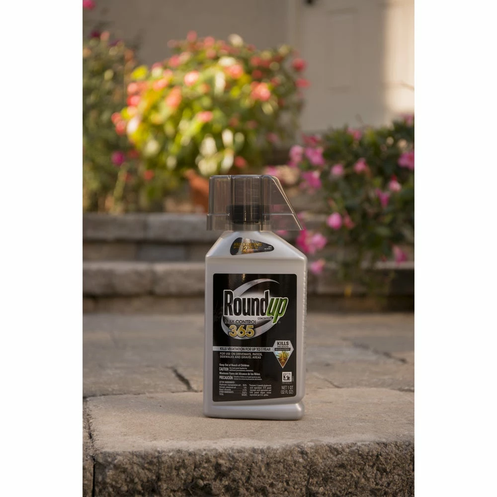 Deals β Roundup Concentrate Max Control 365 Vegetation Killer, 32 oz. - 5000610 - Weed & Plant Control π 2 Deals β Roundup Concentrate Max Control 365 Vegetation Killer, 32 oz. - 5000610 - Weed & Plant Control π - Image 2