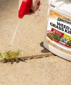 Best reviews of 🔔 Spectracide Weed & Grass Killer - Ready to Use, 1 Gallon - 96017 - Insecticides 😉 -Cheap Lawn Store 846f72d16a59242958ed461f790e779b94879dc5 23060002 3