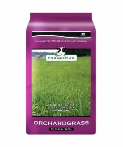 Coupon 🛒 Various Brands Forage Max Orchard Grass Seed 50lb - SEEDORCHARD 🧨