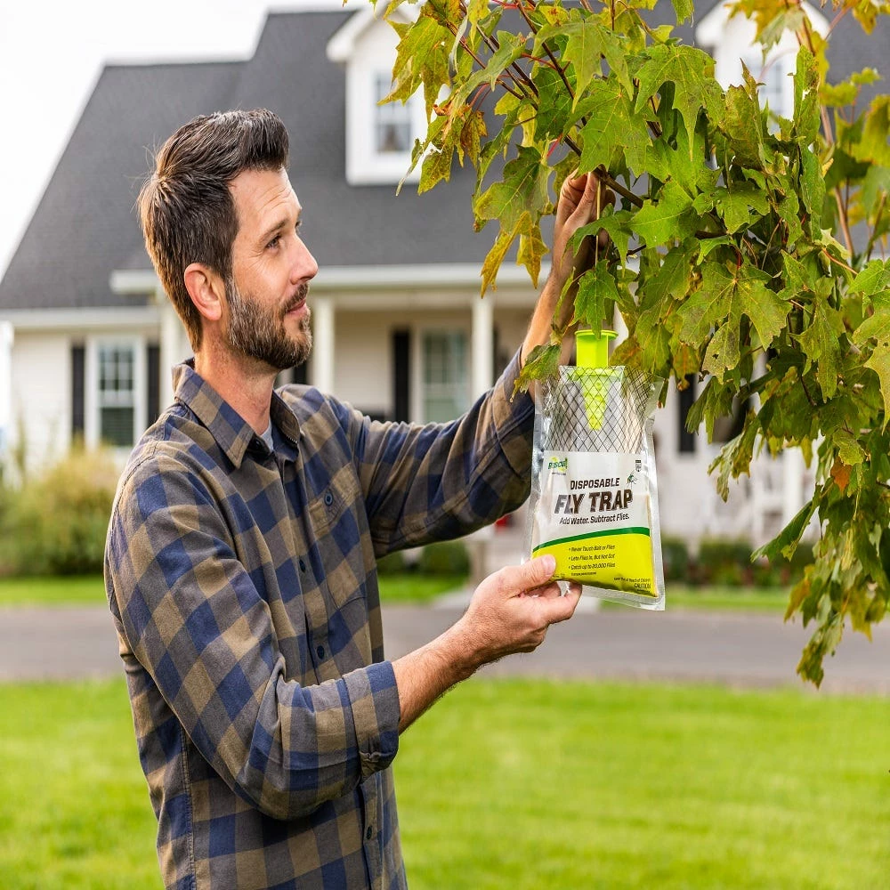 Cheapest π Various Brands Rescue Disposable Fly Trap - FTD-DB12 - Baits & Traps π€© 2 Cheapest π Various Brands Rescue Disposable Fly Trap - FTD-DB12 - Baits & Traps π€© - Image 2