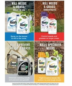 Buy π Roundup Ready-To-Use Max Control 365 Vegetation Killer Refill, 1.25 Gallon - 5000710 - Weed & Plant Control 𧨠14 Buy π Roundup Ready-To-Use Max Control 365 Vegetation Killer Refill, 1.25 Gallon - 5000710 - Weed & Plant Control 𧨠-Cheap Lawn Store 87fd22bc600ff52521fe2d23286814e5f31cd28f 62580612 7