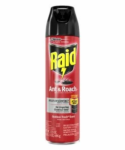 Flash Sale 👏 Raid Ant and Roach Killer 26 in Outdoor Fresh Scent, 17.5oz - 21613 - Bug Candles & Zappers 🤩