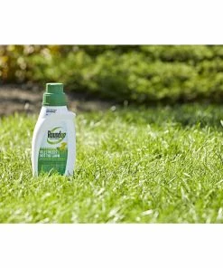 Discount 🧨 Roundup For Lawns 2 Concentrate (Northern), 32 oz. - 5008710 - Herbicides 🎁 -Cheap Lawn Store 93526a7dbdb5c7402378e2097ae84b6a23d0631d 62580012 3